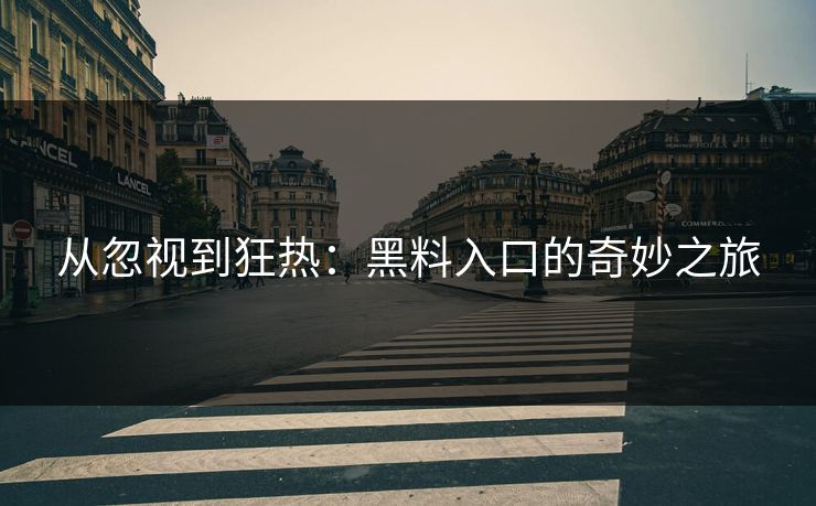从忽视到狂热:黑料入口的奇妙之旅 从忽视到狂热:黑料入口的奇妙之旅